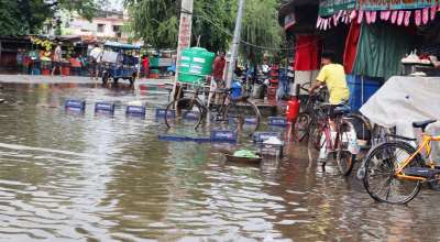 महेन्द्रनगर बजार