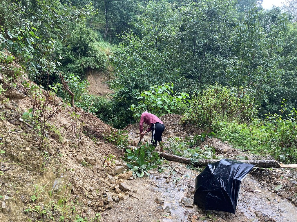 पहिरोले बगायो