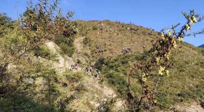 बझाङको तुफानडाँडा