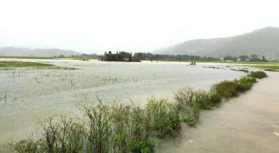 भेरी नदी