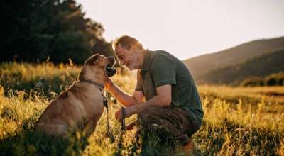 कुकुर पाल्दा