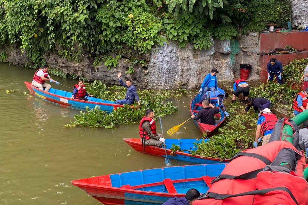 जलकुम्भी निकालियो