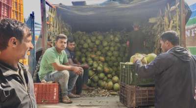 विदेशी फलफूल