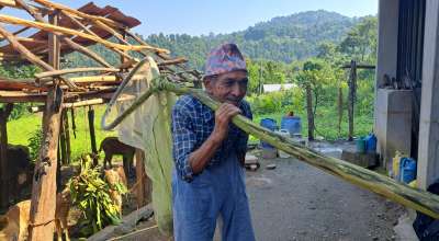 व्यवस्था फेरियो, अवस्था फेरिएन
