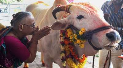 गोरु तिहार