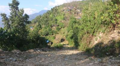 गुल्मी सडक