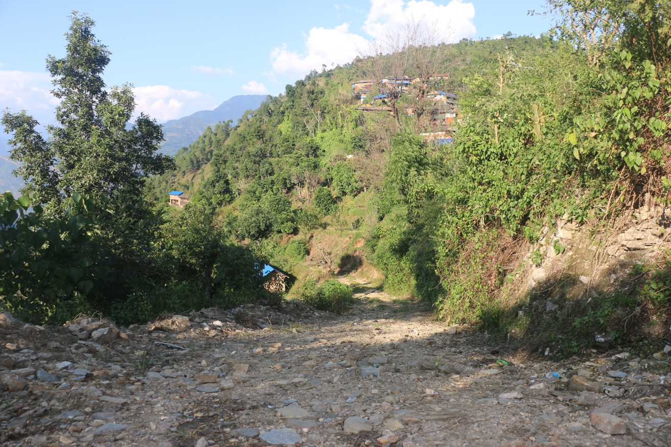 गुल्मी सडक