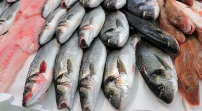 भारतीय माछा