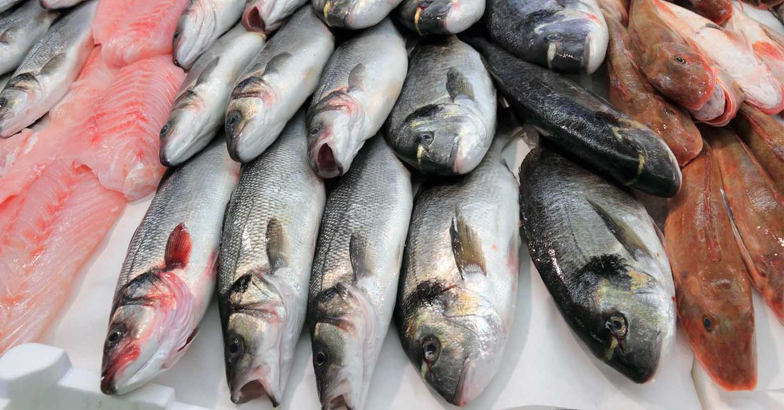 भारतीय माछा