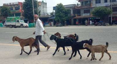 खसीबोका