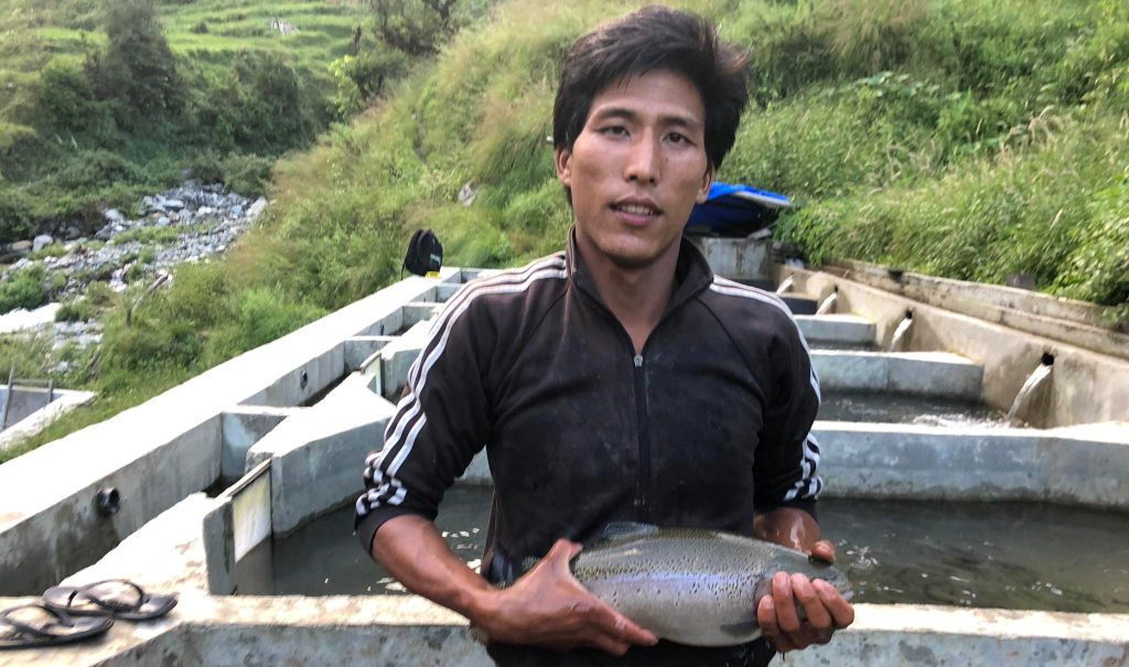 माछापालन