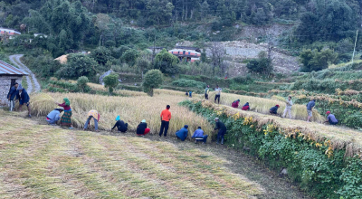 खेतबारीमै उम्मेदवार