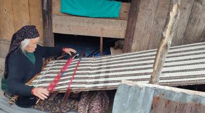 राडीपाखी