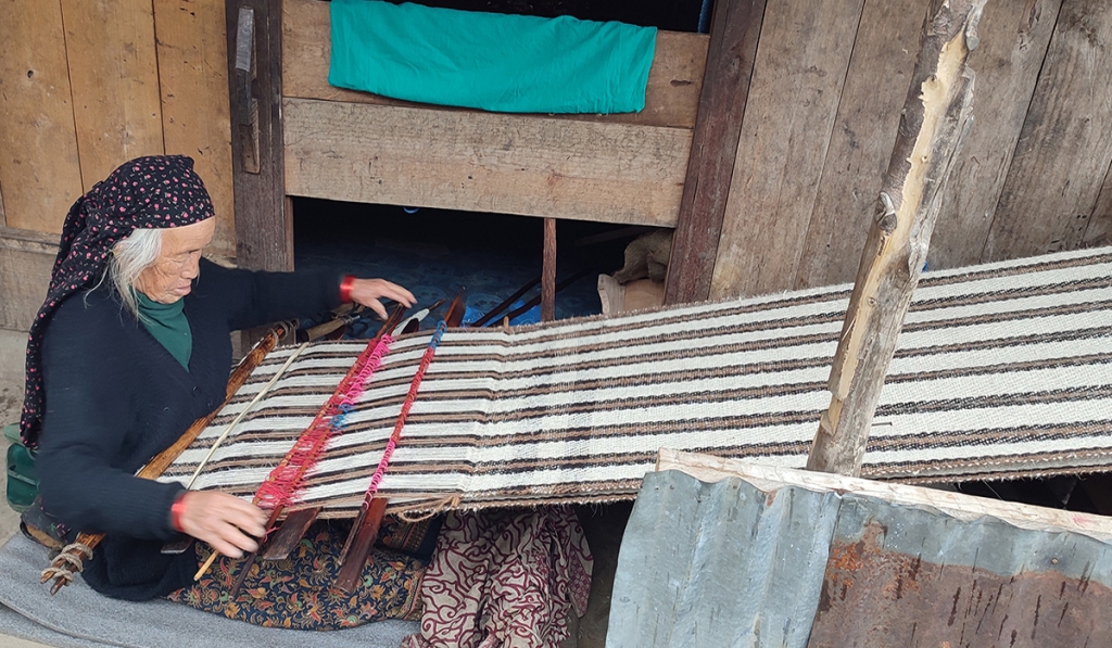 राडीपाखी