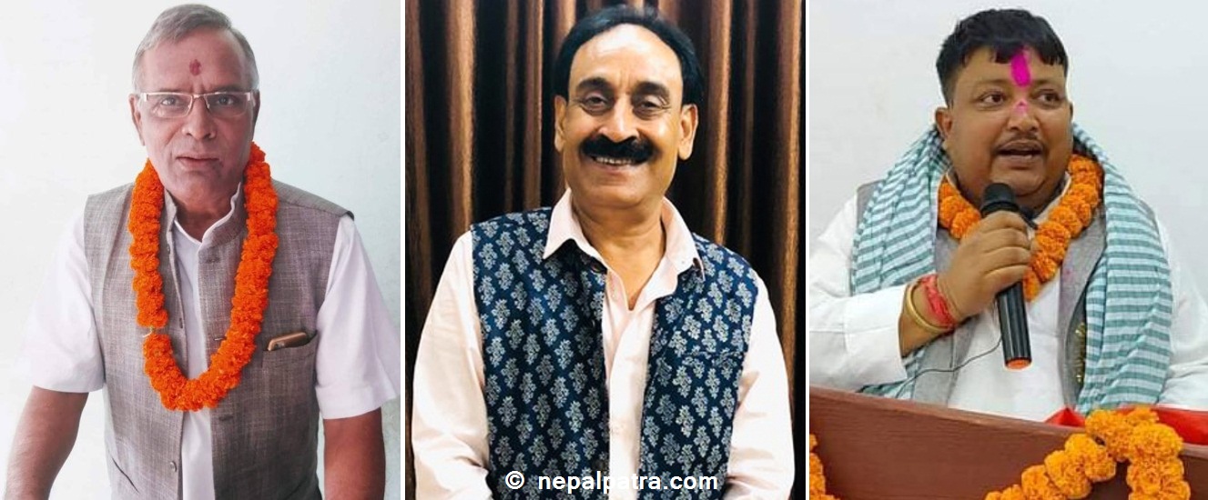 रामसरोज यादव, ओमप्रकाश शर्मा र वीरेन्द्रप्रसाद सिंह