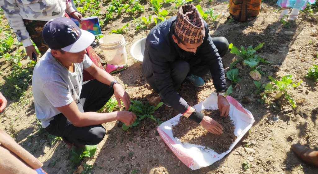 माटो परीक्षण