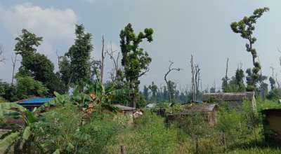 सुकुम्वासी शिविर