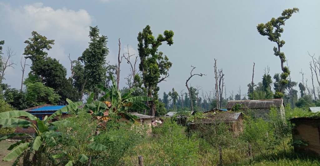 सुकुम्वासी शिविर