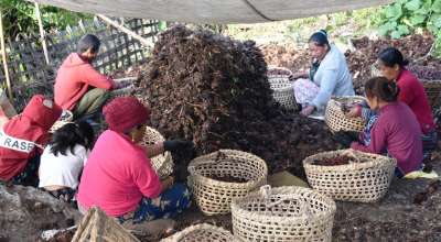 अलैँची घर भित्र्याउनै चटारो