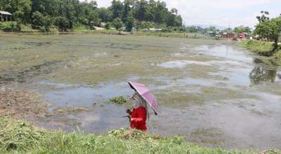 टरुवा ताल