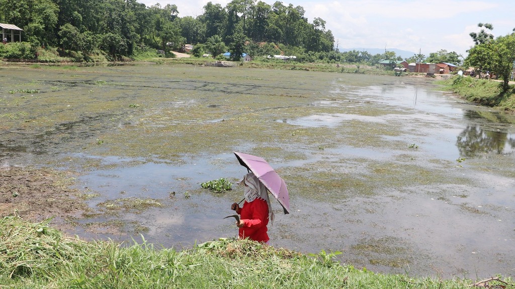 टरुवा ताल
