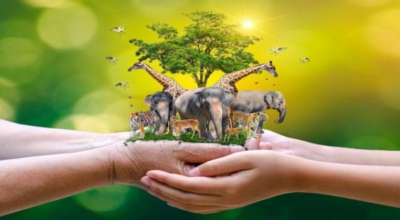 विश्व पशु दिवस