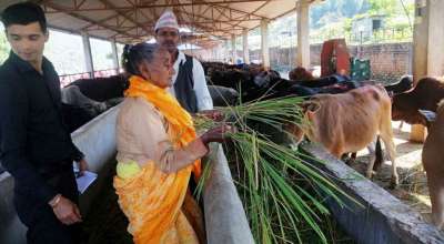 गङ्गादेवी पराजुली