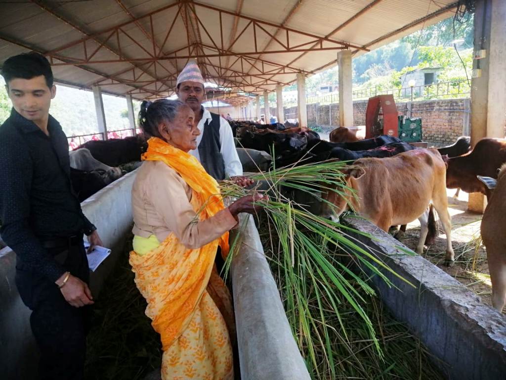 गङ्गादेवी पराजुली