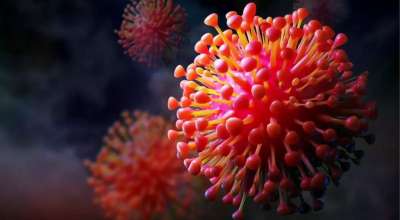 एक्सबिबी