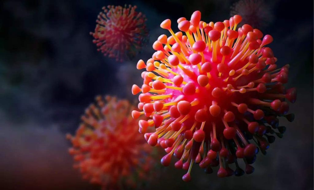 एक्सबिबी