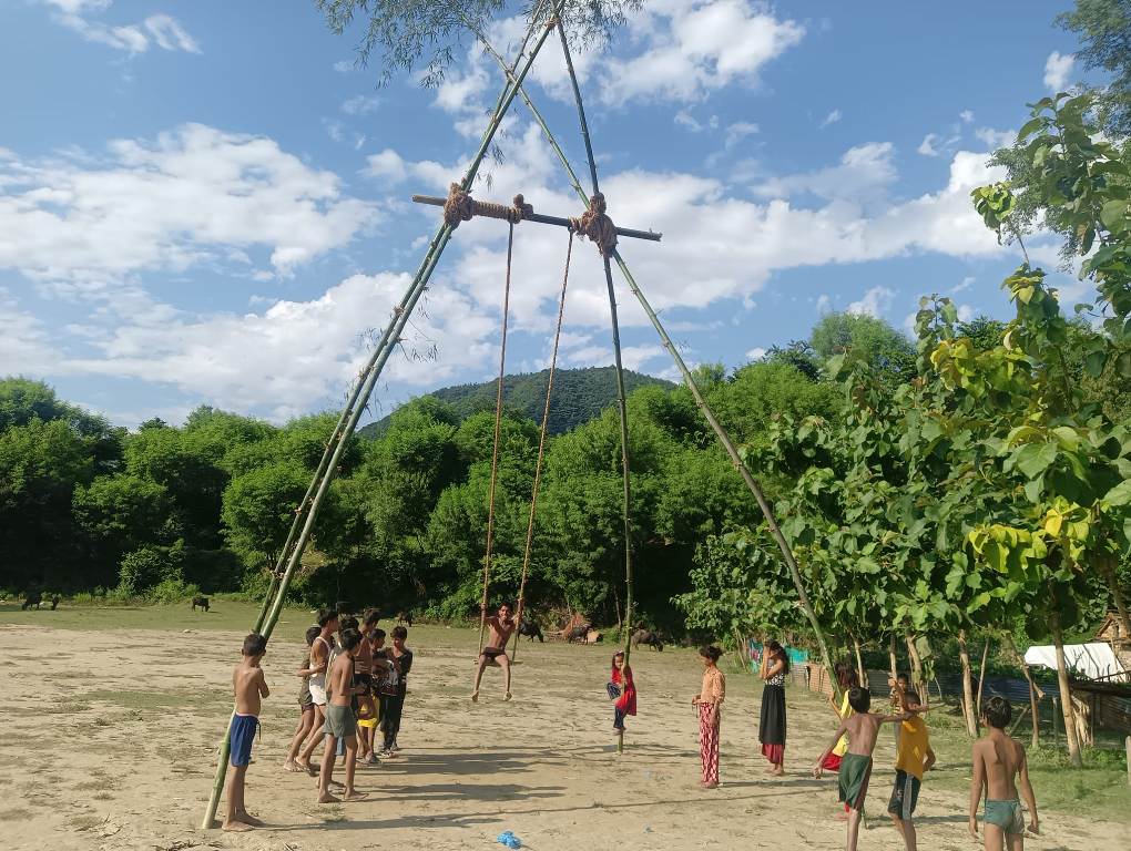 पिङको आकर्षण