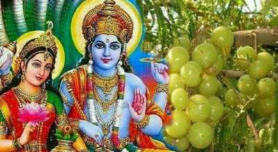 अक्षय नवमी पर्व