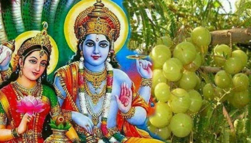 अक्षय नवमी पर्व