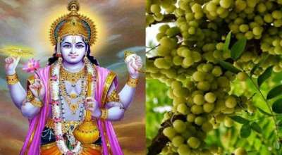 कुष्माण्डा पर्व