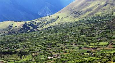 बागलुङको निसेलढोर