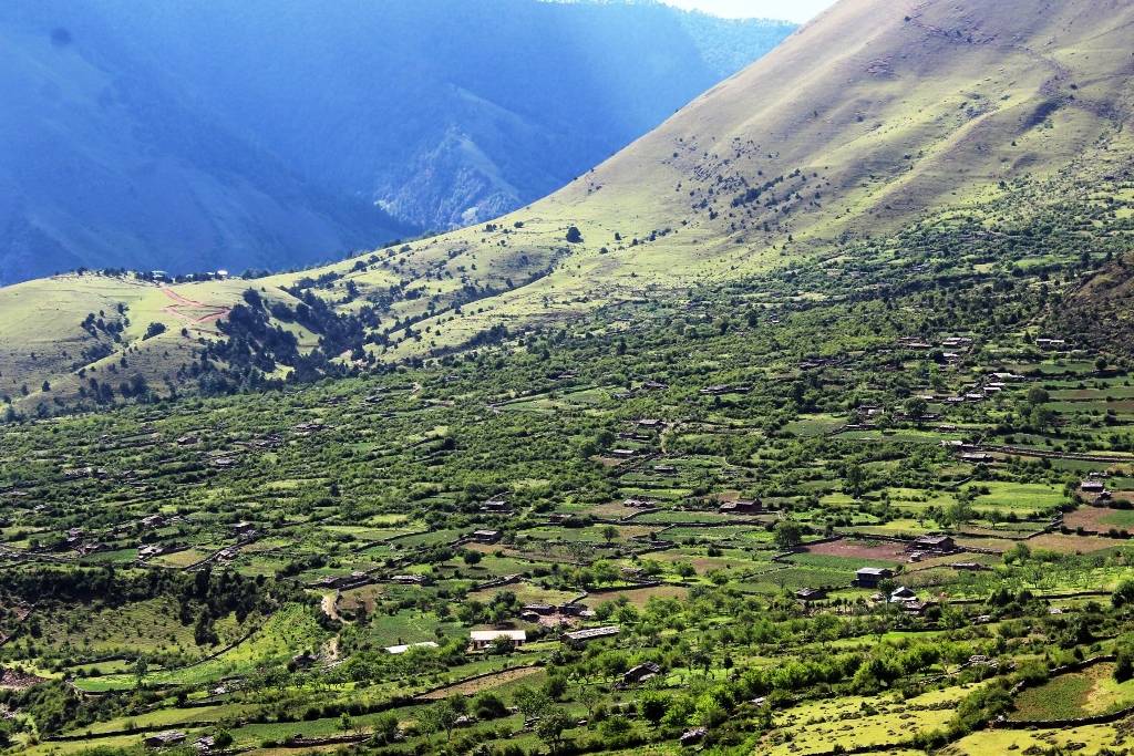 बागलुङको निसेलढोर