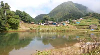 गाजाको दह