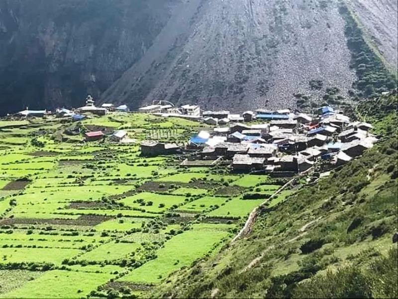 चुमनुब्री गाउँपालिका साम्दो
