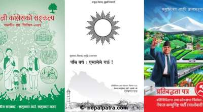 दलका घोषणापत्र