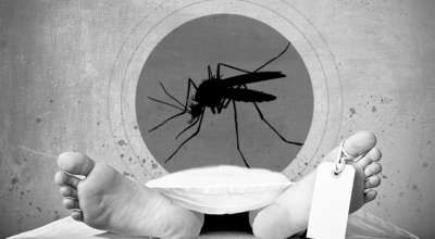 डेंगु संक्रमण मृत्यु