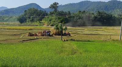 धान खेती तनहुँ