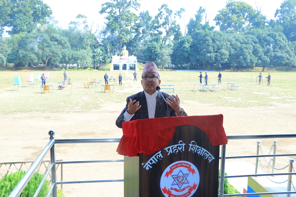 दिनेशकुमार थपलिया