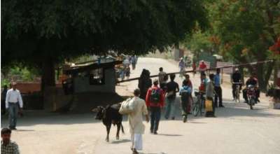 गड्डाचौकी नाका