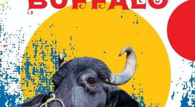 गड्स बफेलो