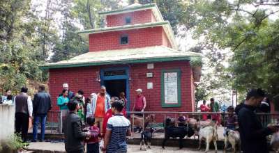 पूर्वी नवलपरासीको महाराजा थान