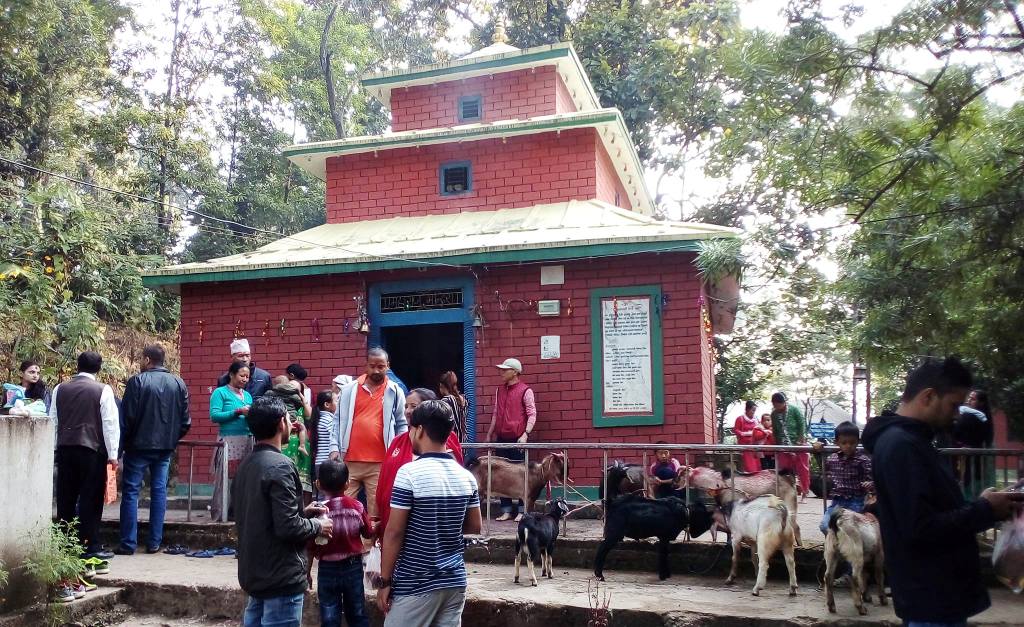पूर्वी नवलपरासीको महाराजा थान