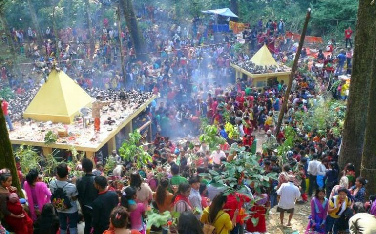 चिच्याएर वर माग्ने मेला