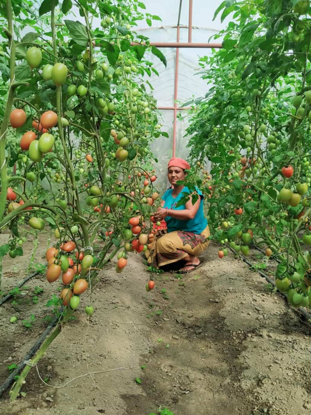  म्याग्दीका किसान