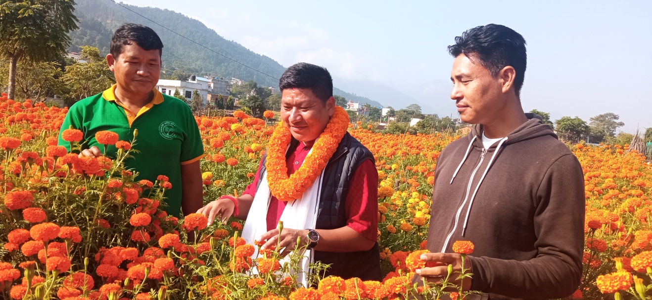 उम्मेदवारसँग उद्यमी