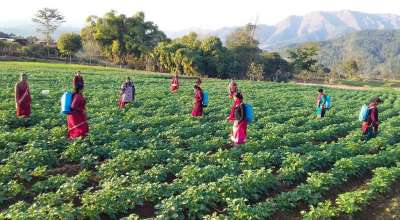 रामपुर नगरपालिका